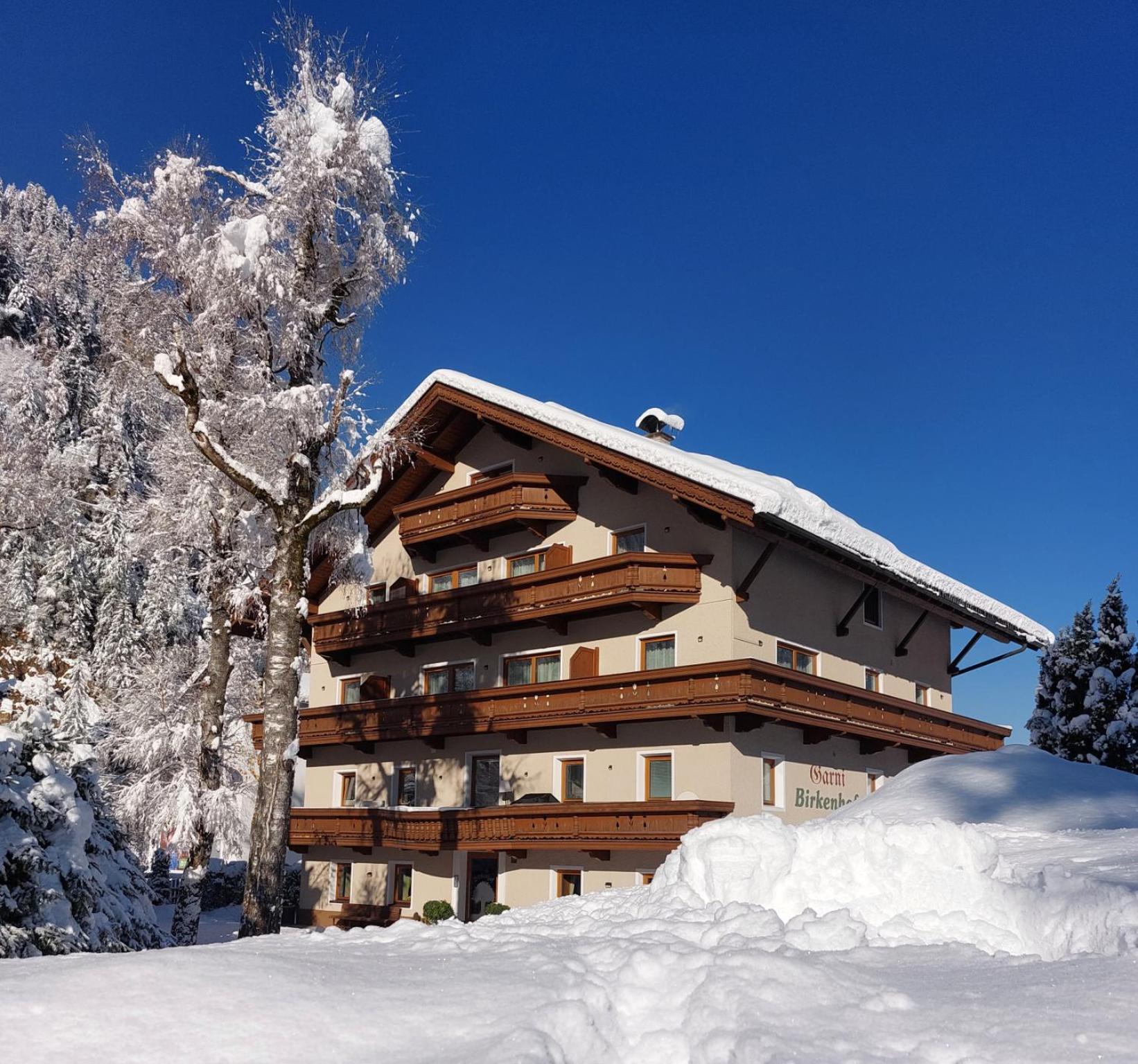 Hotel Garni Birkenhof Mayrhofen Esterno foto
