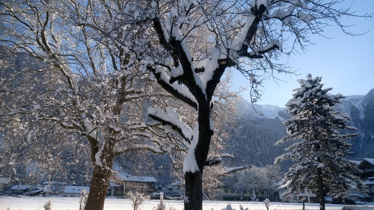 Hotel Garni Birkenhof Mayrhofen Esterno foto
