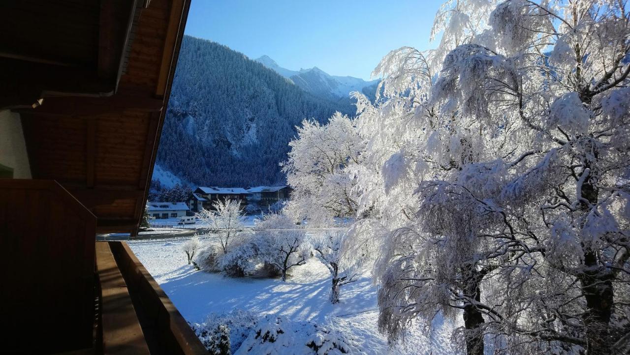Hotel Garni Birkenhof Mayrhofen Esterno foto